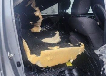 Bear Breaks Into Two Cars Near Telluride, Sparks Wildlife Warning from CPW