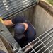 Lakewood Man Hiding From Police Gets Stuck 15 Feet Underground in Storm Drain
