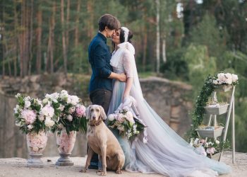 In Colorado, Your Cat/Dog Can Be An Official Witness At Your Wedding