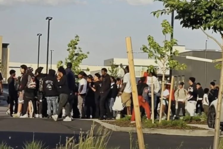 WATCH: Social Media Meetup Turns Violent as Brawls Erupt at Denver Northfield Shops