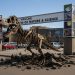Prehistoric Parking: Rare Dinosaur Fossil Discovered Beneath Denver Museum Lot