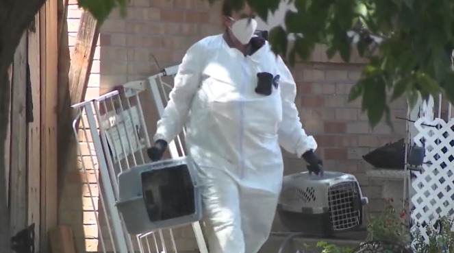 Tip Leads to Massive Pet Rescue in Northglenn — The Final Count Is Jaw ...