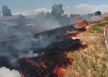 WATCH: Deputy’s Quick Action Stops Centennial Grass Fire From Reaching Homes