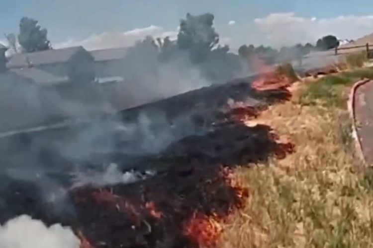 WATCH: Deputy’s Quick Action Stops Centennial Grass Fire From Reaching Homes