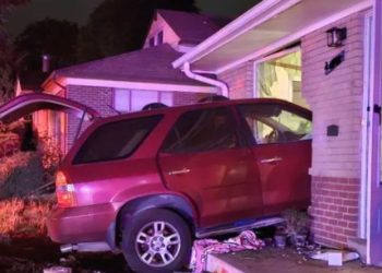 Vehicle Smashes Through Window in Sherrelwood, Occupants Flee