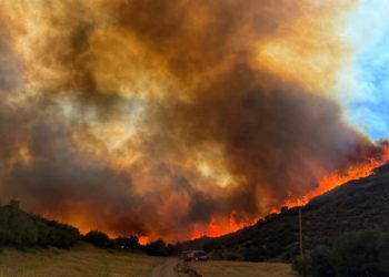 Lee Fire Becomes 5th Largest in Colorado History as Crews Battle Multiple Blazes