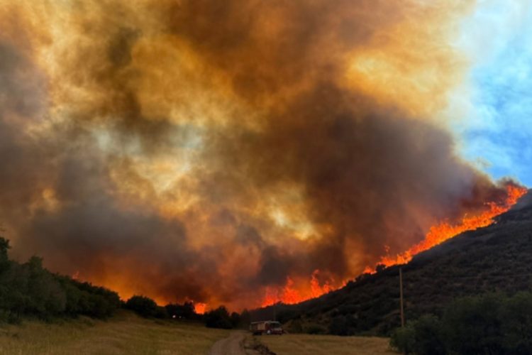 Lee Fire Becomes 5th Largest in Colorado History as Crews Battle Multiple Blazes