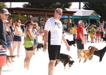 Bow Wow Beach Doggie Day Powered by Mountain States Toyota – Water World Colorado Sept. 6