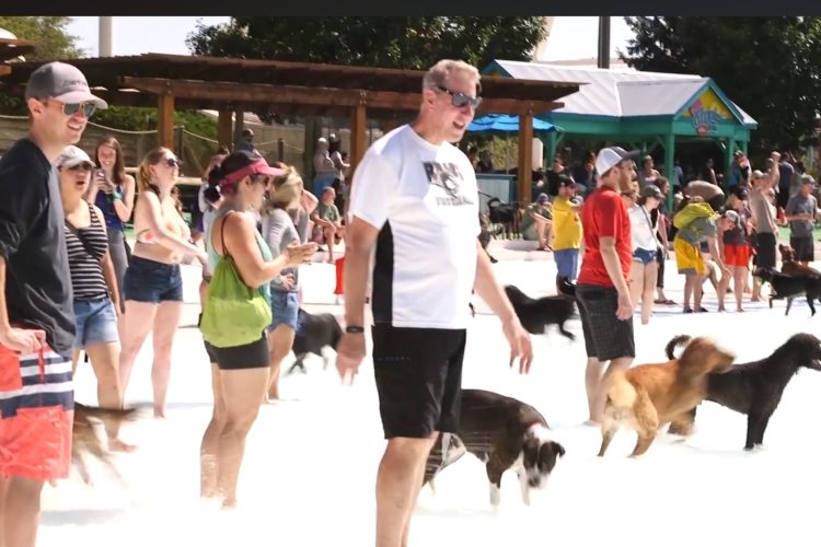 Bow Wow Beach Doggie Day Powered by Mountain States Toyota – Water World Colorado Sept. 6
