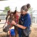 70 Neglected Horses Rescued from Rural Colorado in Massive Animal Welfare Operation