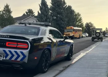 55 Drivers Stopped in Colorado School Zone and Bus Safety Crackdown