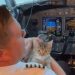 From Cockpit to Cat Dad: Denver Pilot Adopts Kitten During Rescue Flight