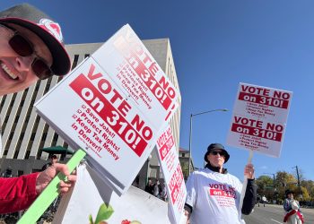 Citizens vs. City Hall: Denver’s Battle Over Freedom, Flavor, and Referendum 310