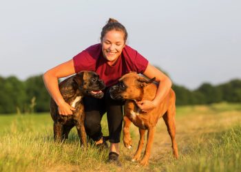 Denver’s Boxer Lifeline: Inside the 50-Year Mission of Ho-Bo Care Rescue