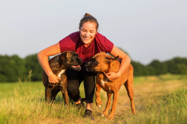 Denver’s Boxer Lifeline: Inside the 50-Year Mission of Ho-Bo Care Rescue
