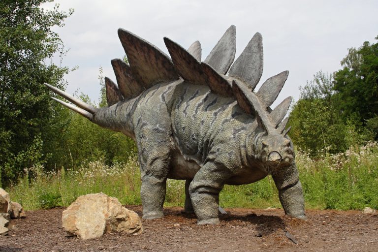 Digging Up Colorado’s Past: The 5 Dinosaurs That Once Roamed the ...