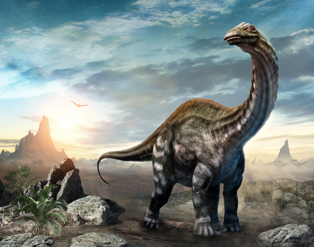 Digging Up Colorado’s Past: The 5 Dinosaurs That Once Roamed the ...