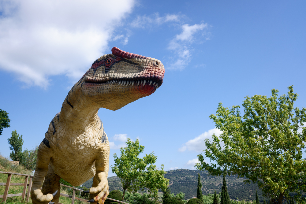 Digging Up Colorado’s Past: The 5 Dinosaurs That Once Roamed the ...
