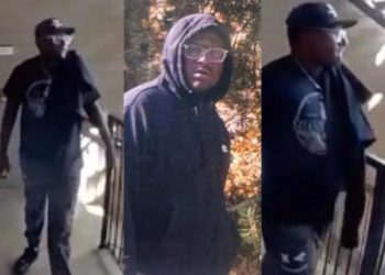 Lakewood Police Hunt Man Accused of Following Women and Teens Near Bear Creek