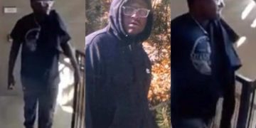 Lakewood Police Hunt Man Accused of Following Women and Teens Near Bear Creek