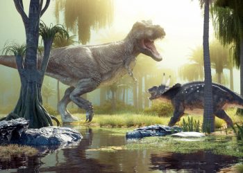 Digging Up Colorado’s Past: The 5 Dinosaurs That Once Roamed the Rockies