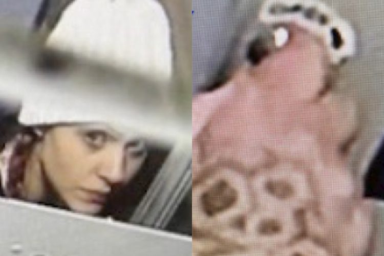 Westminster Package Thieves Caught on Camera — Do You Recognize Them?