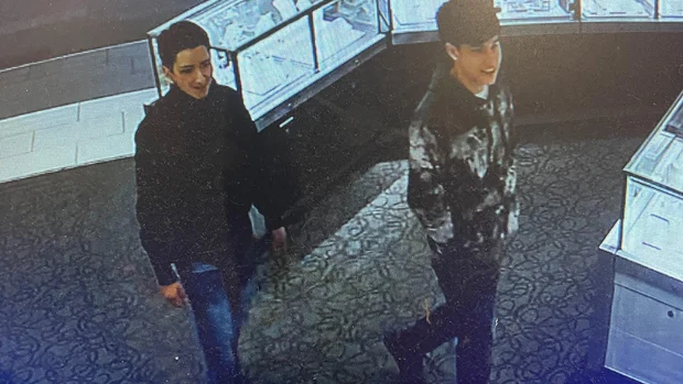 Lakewood Police Hunt Duo After High-Value Jewelry Heist
