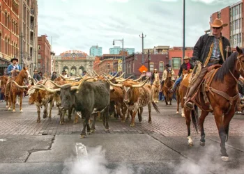Longhorns Take Over Downtown: National Western Parade Brings the Wild West to Denver