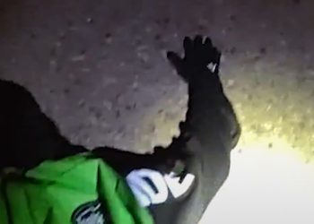 Homicide Suspect Captured After Wild Police Chase From Aurora Into Denver