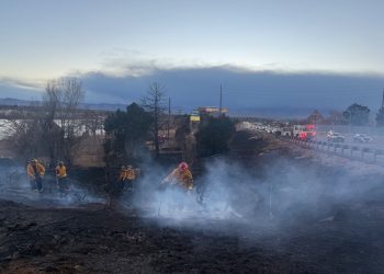 Brush Fire Burns Near Lakeside Amusement Park Before Crews Stop It