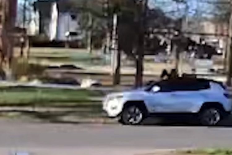 Caught on Camera: Over 20 Shots Ring Out During Easter Celebration in Denver