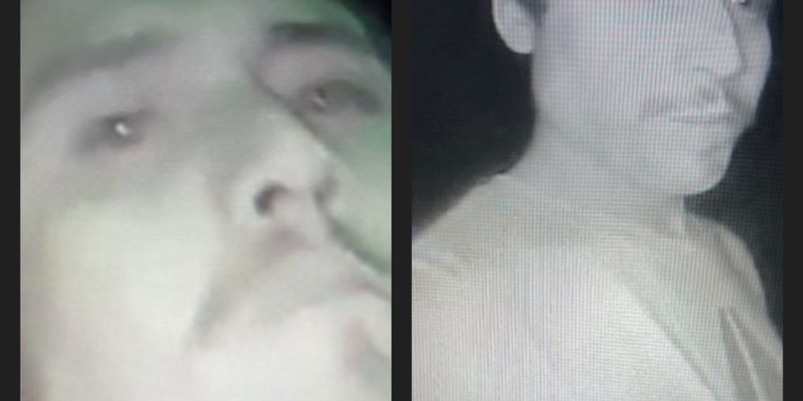 Sticky Situation: 26 Pounds of Honey Stolen in Berthoud Heist