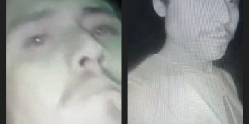 Sticky Situation: 26 Pounds of Honey Stolen in Berthoud Heist