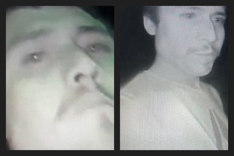 Sticky Situation: 26 Pounds of Honey Stolen in Berthoud Heist