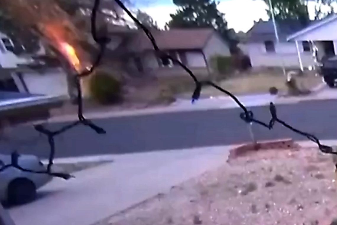 VIDEO: Lightning Strike Makes Aurora Tree Explode — Debris Flies Into Homes