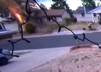 VIDEO: Lightning Strike Makes Aurora Tree Explode — Debris Flies Into Homes
