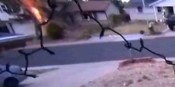 VIDEO: Lightning Strike Makes Aurora Tree Explode — Debris Flies Into Homes