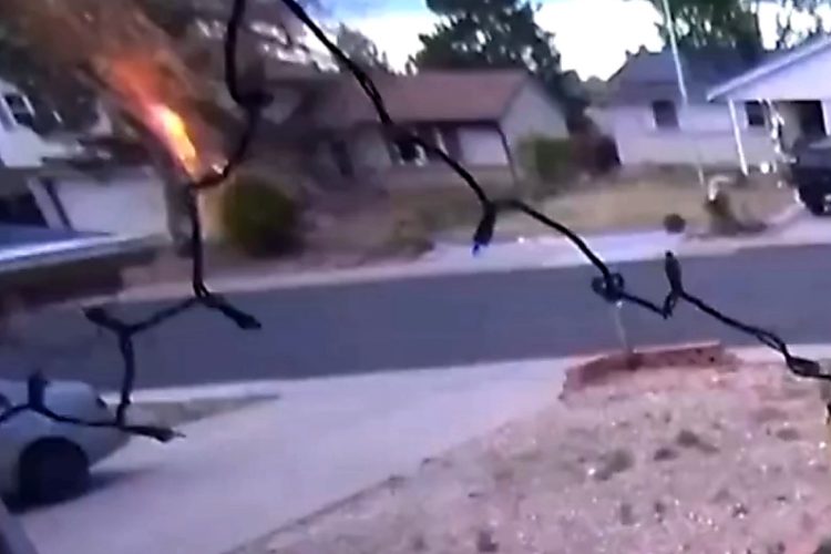 VIDEO: Lightning Strike Makes Aurora Tree Explode — Debris Flies Into Homes