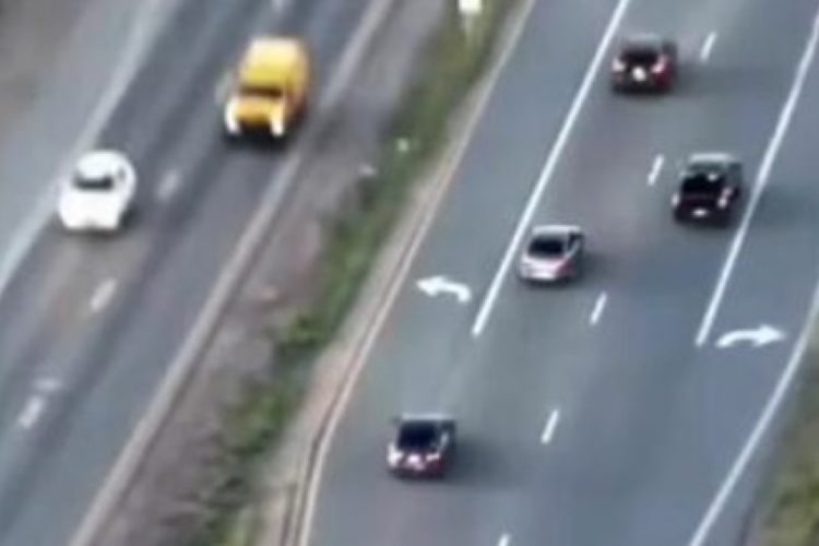 A Driver Pulled a Fake Glock on a Colorado Family — What Police Did Next Looked Like a Movie
