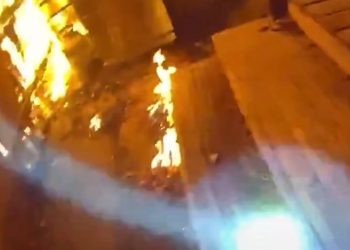 VIDEO Frightened Dog Ran Deeper Into a Burning Home — What Westminster Police Did Next Is Going Viral