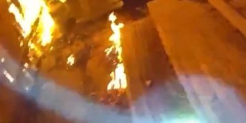 VIDEO Frightened Dog Ran Deeper Into a Burning Home — What Westminster Police Did Next Is Going Viral