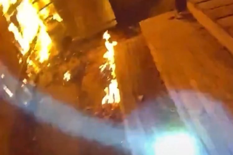 VIDEO Frightened Dog Ran Deeper Into a Burning Home — What Westminster Police Did Next Is Going Viral