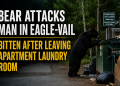 VIDEO Colorado Man Attacked by Bear While Leaving Apartment Laundry Room
