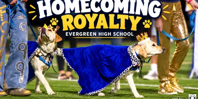 Evergreen’s New Homecoming Royalty Has Four Paws