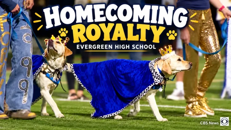 Evergreen’s New Homecoming Royalty Has Four Paws